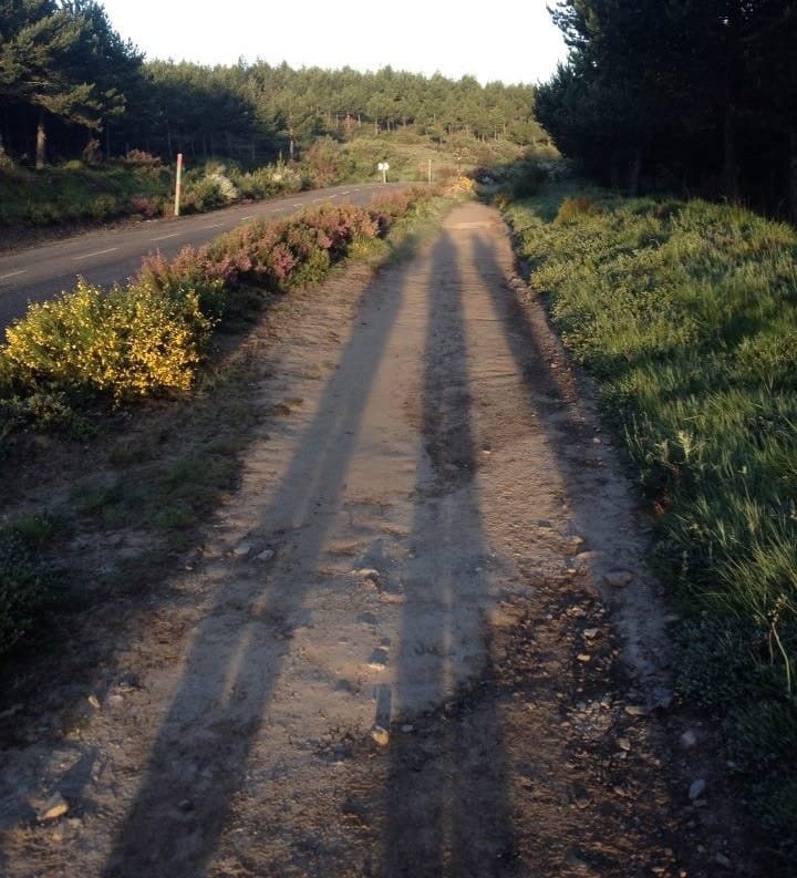 Camino experience
