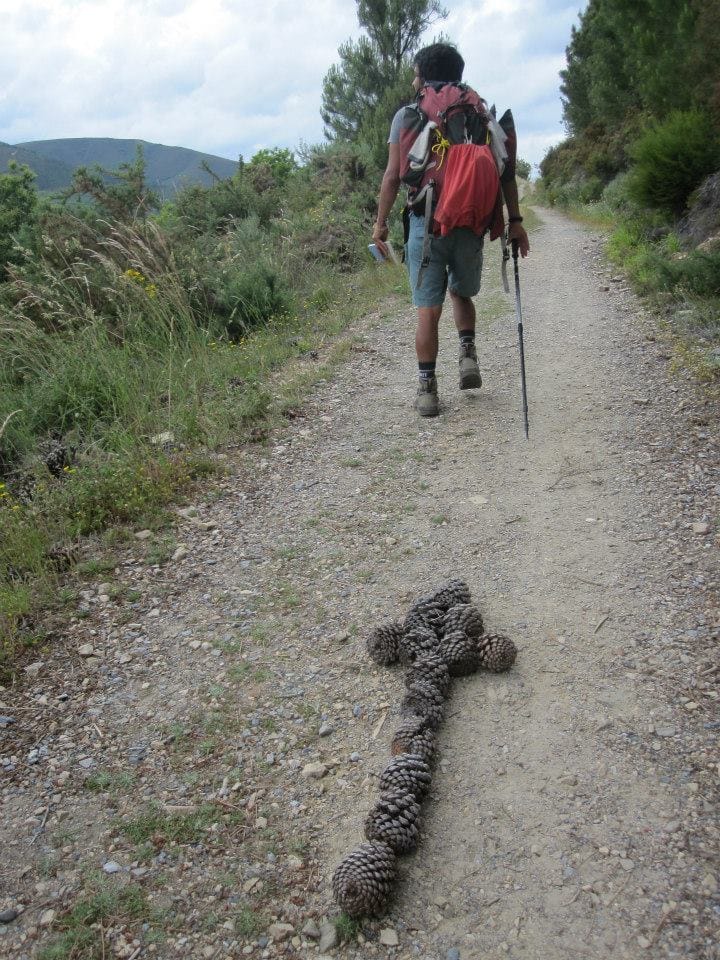 Walking the Camino: Six Ways to Santiago