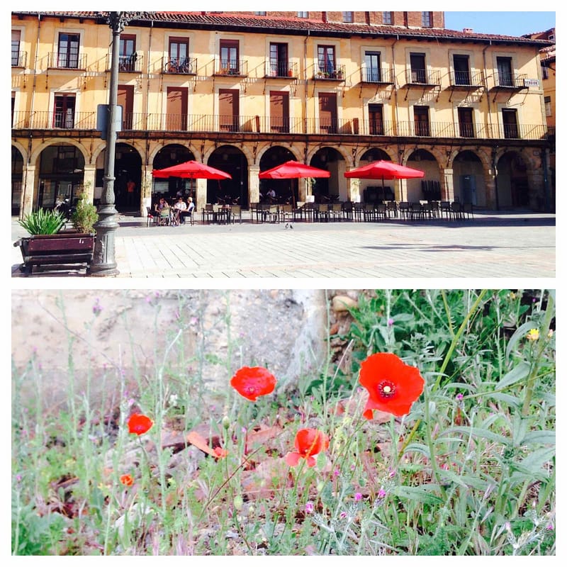 Camino de Santiago